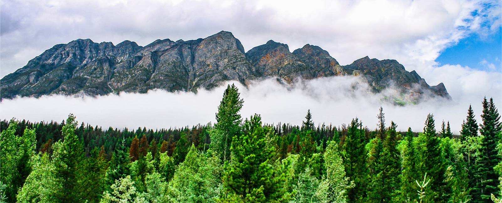 شركة تشجيانغ زونجلي لتكنولوجيا المواد الاصطناعية المحدودة